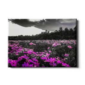 Destination - Purple Fields