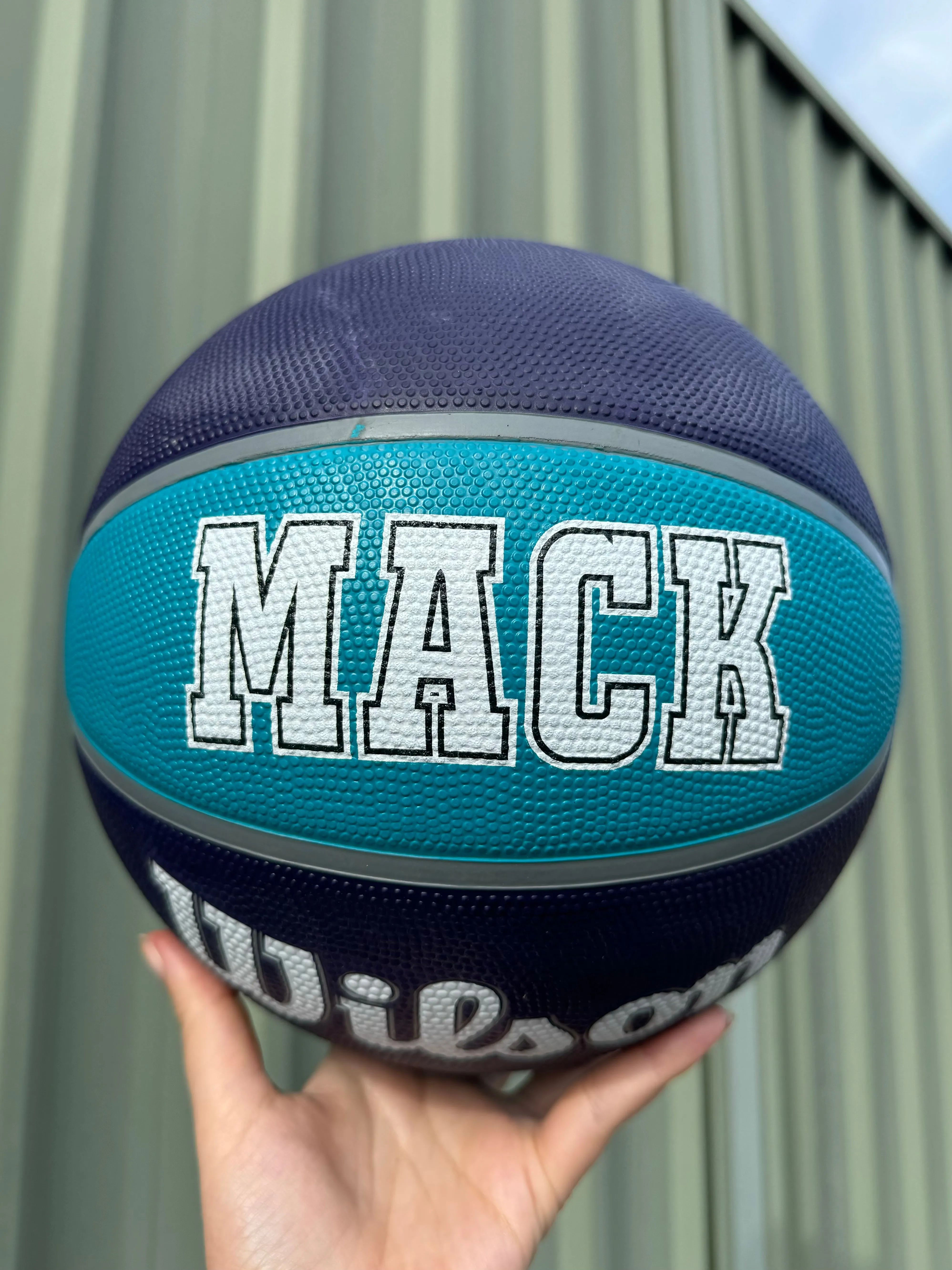 Personalised NBA Official Charlotte Hornets Team Basketball (SIZE 7)
