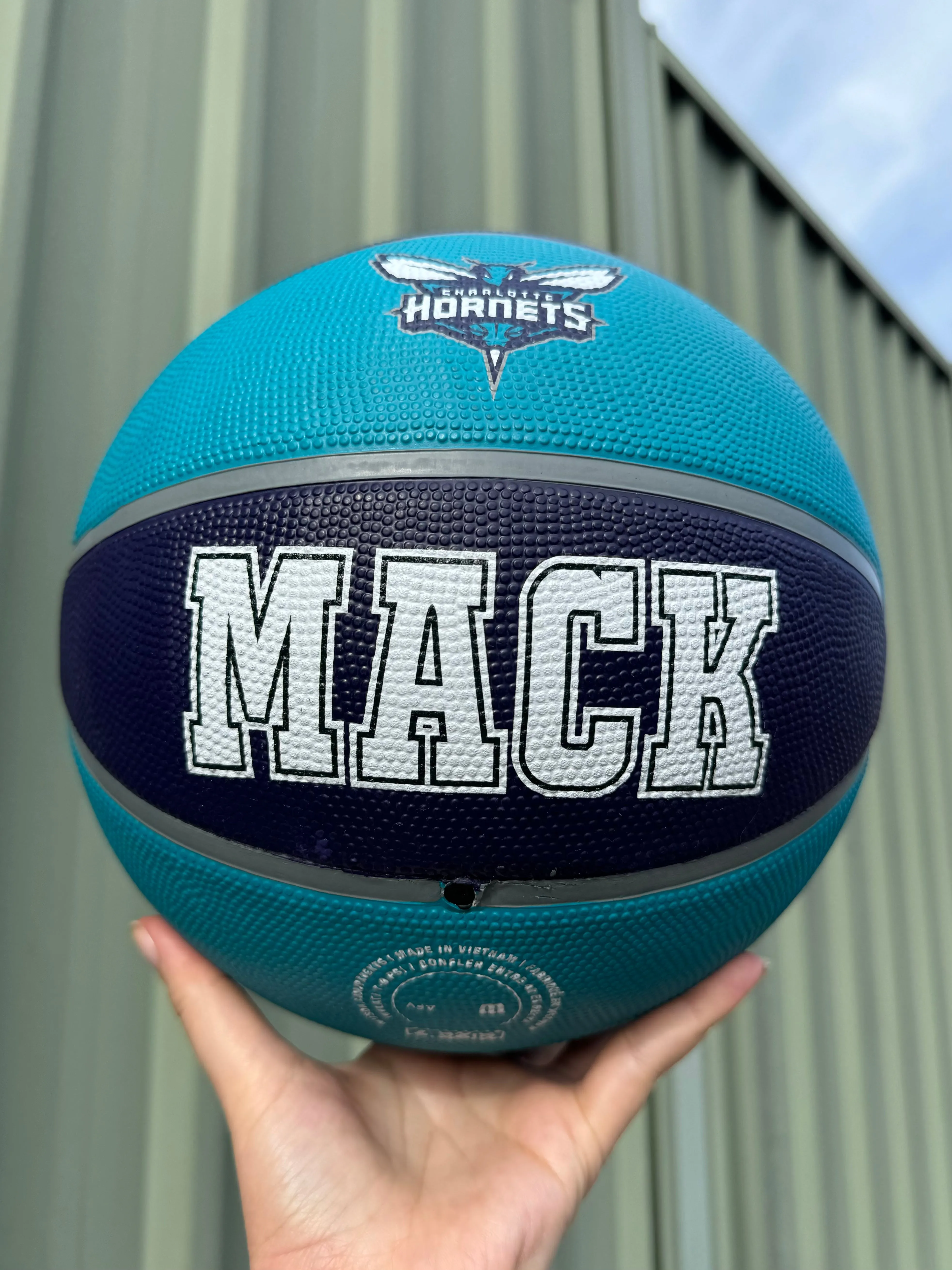 Personalised NBA Official Charlotte Hornets Team Basketball (SIZE 7)